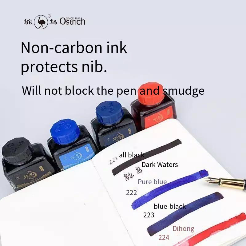 Ostrich 2-Series Fountain Pen  – обзор и цена Fountain Pen Bottled Ink