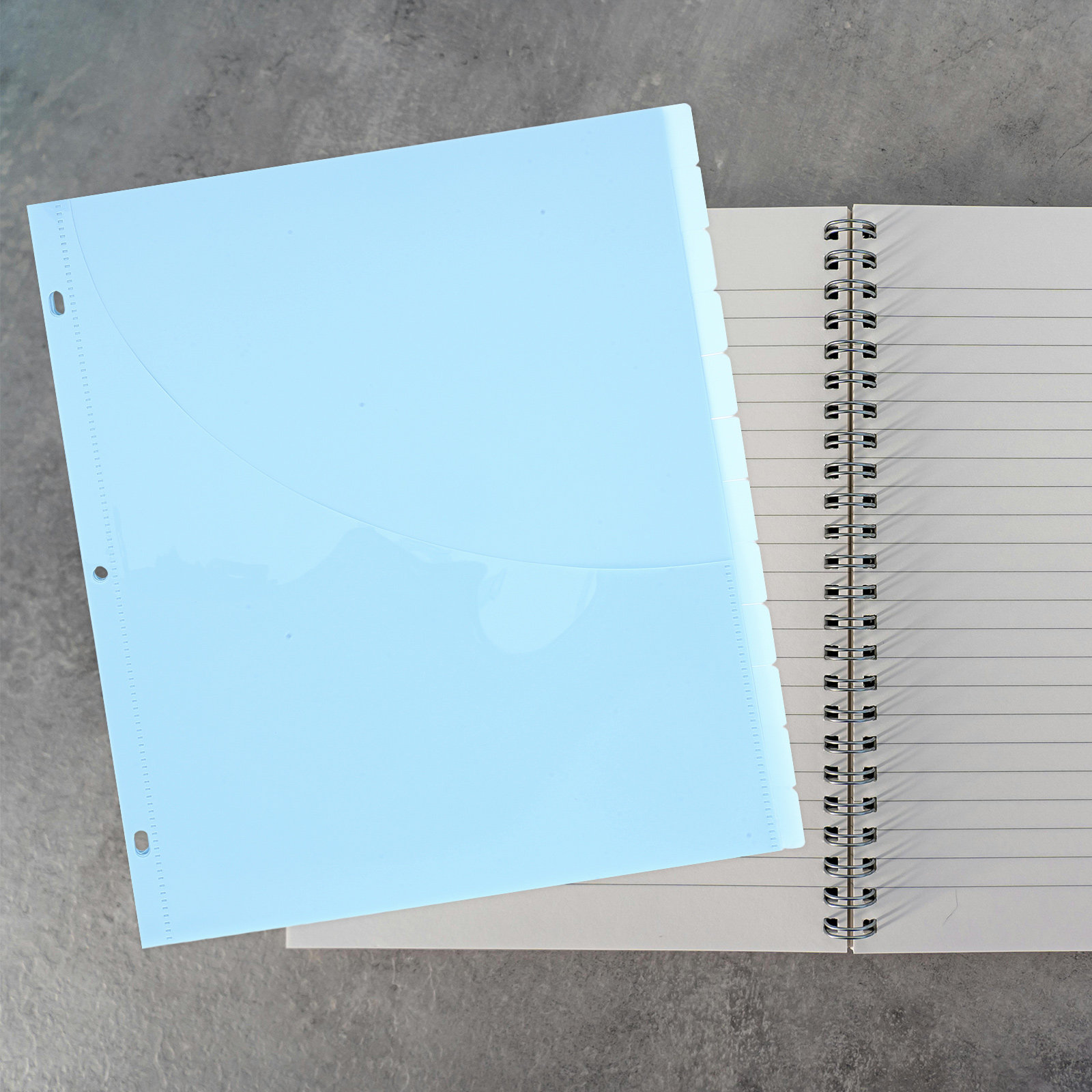 12Pcs Binder Dividers A4 Plast – обзор и цена Tab Divider A4