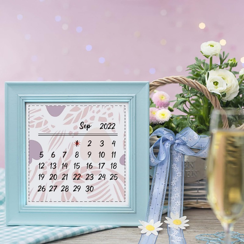 1PC 8.3x5.8in Calendar Clear S – обзор и цена Rubber Date Stamp